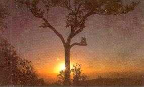 netarhatsunrise.jpg